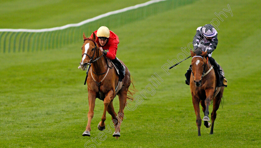 Awake-My-Soul-0003 
 AWAKE MY SOUL (Tom Queally) beats DOLPHIN VISTA (right) in The Play 3-2-Win At Mansionbet Handicap
Newmarket 30 Oct 2020 - Pic Steven Cargill / Racingfotos.com