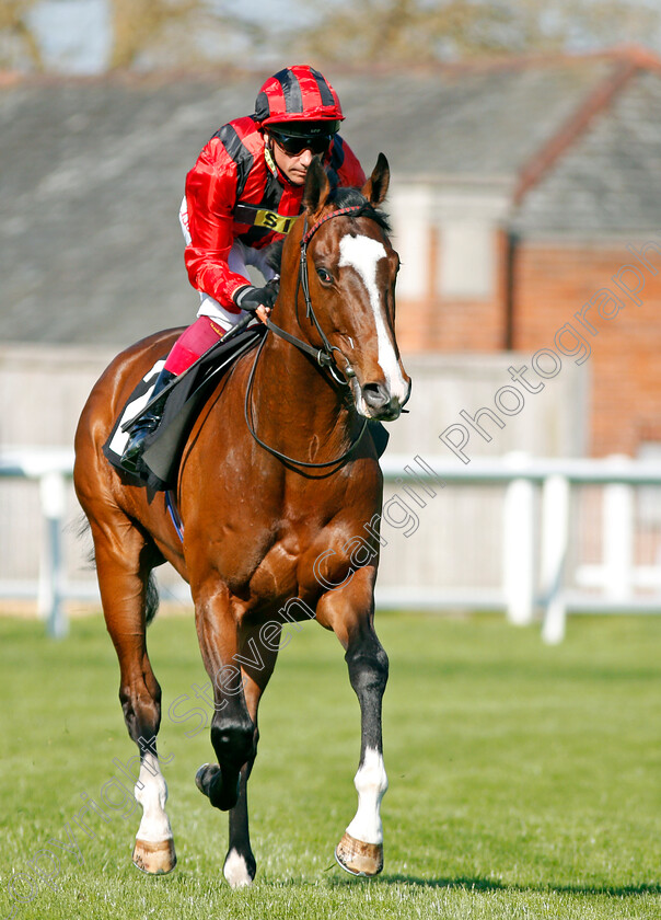 Bartholomeu-Dias-0001 
 BARTHOLOMEU DIAS (Frankie Dettori) Newbury 20 Apr 2018 - Pic Steven Cargill / Racingfotos.com