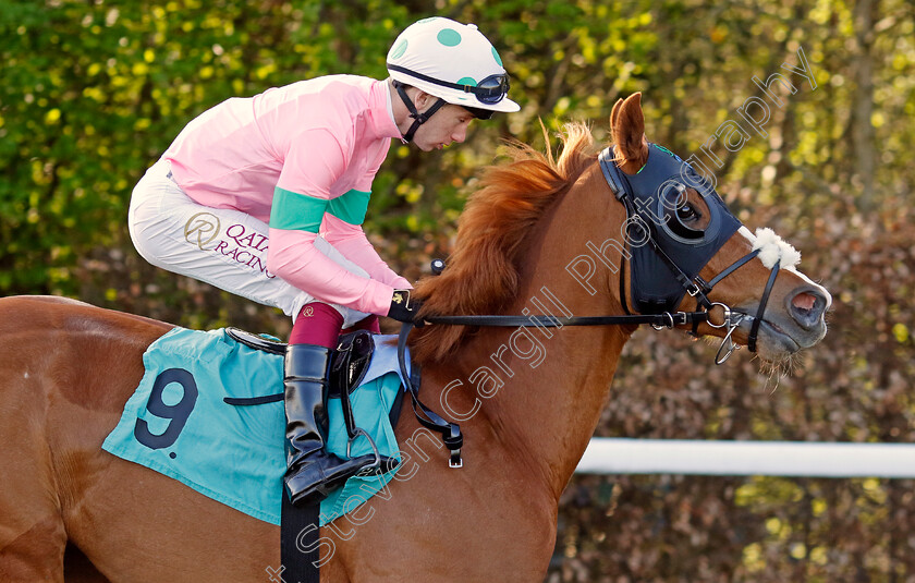 Dig-Two-0001 
 DIG TWO (Oisin Murphy)
Kempton 10 Apr 2023 - Pic Steven Cargill / Racingfotos.com