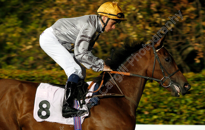 Kassar-0001 
 KASSAR (Kieran Shoemark) winner of The 32Red Casino EBF Novice Stakes Kempton 4 Oct 2017 - Pic Steven Cargill / Racingfotos.com