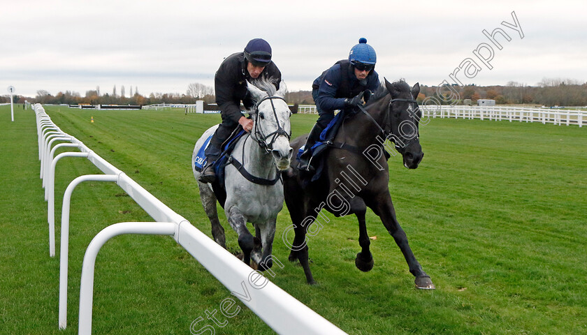 Sail-Away-and-Etalon-0001 
 SAIL AWAY (left, Derek O'Connor) with ETALON (right, Lorcan Williams) 
Coral Gold Cup Gallops Morning
Newbury 21 Nov 2023 - Pic Steven Cargill / Racingfotos.com