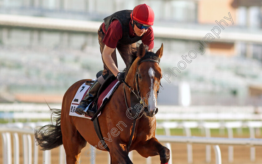 Broome-0001 
 BROOME training for The Dubai Gold Cup
Meydan, Dubai, 22 Mar 2023 - Pic Steven Cargill / Racingfotos.com