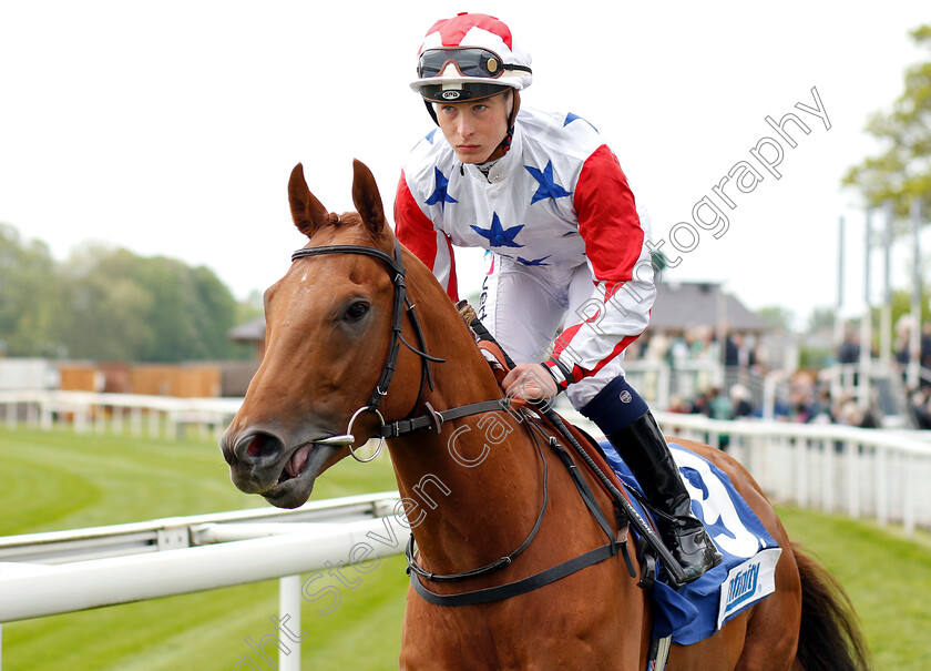 El-Hombre-0001 
 EL HOMBRE (Rowan Scott)
York 16 May 2018 - Pic Steven Cargill / Racingfotos.com