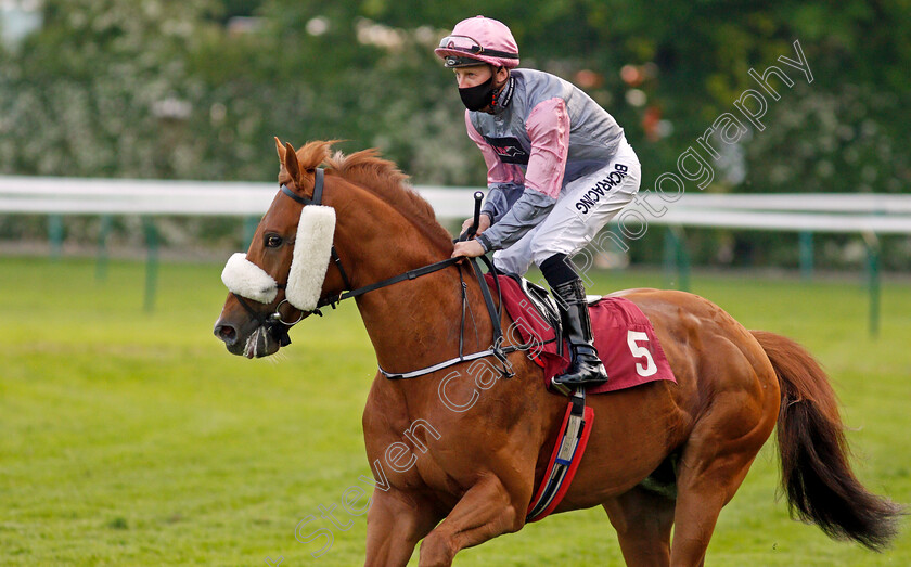 Equidae-0001 
 EQUIDAE (Jamie Gormley)
Haydock 28 May 2021 - Pic Steven Cargill / Racingfotos.com