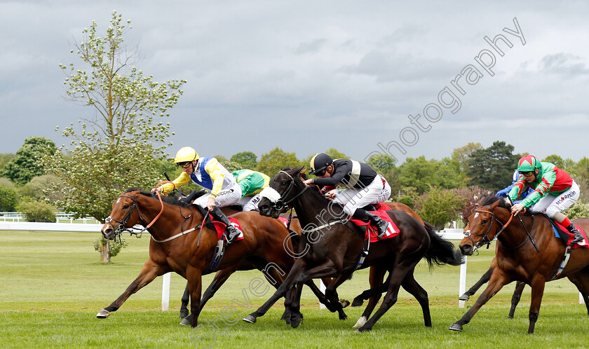 Leodis-Dream-0001 
 LEODIS DREAM (left, Daniel Tudhope) beats PASS THE GIN (centre) in The bet365 Handicap
Sandown 26 Apr 2019 - Pic Steven Cargill / Racingfotos.com