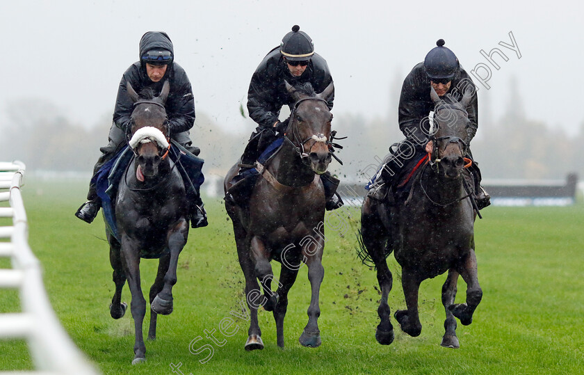 First-Street,-Epatante-and-Marie s-Rock-0001 
 FIRST STREET (centre, Nico de Boinville) with EPATANTE (right, Aidan Coleman) and MARIE'S ROCK (left, Adrian Heskin) at Coral Gold Cup Weekend Gallops Morning
Newbury 15 Nov 2022 - Pic Steven Cargill / Racingfotos.com