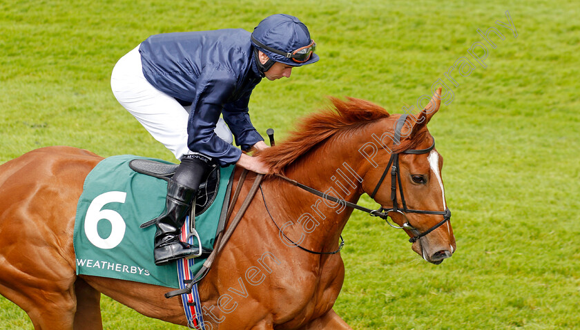 Savethelastdance-0008 
 SAVETHELASTDANCE (Ryan Moore) winner of The Weatherbys Digital Solutions Cheshire Oaks
Chester 10 May 2023 - Pic Steven Cargill / Racingfotos.com