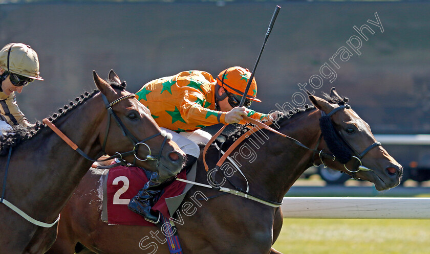 Love-Is-Golden-0002 
 LOVE IS GOLDEN (Richard Kingscote) wins The Common Sense Lending Handicap
Haydock 1 Sep 2022 - Pic Steven Cargill / Racingfotos.com