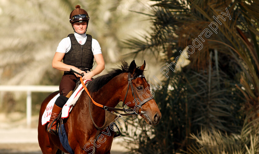 Victory-Chime-0005 
 VICTORY CHIME exercising in preparation for Friday's Bahrain International Trophy
Sakhir Racecourse, Bahrain 16 Nov 2021 - Pic Steven Cargill / Racingfotos.com