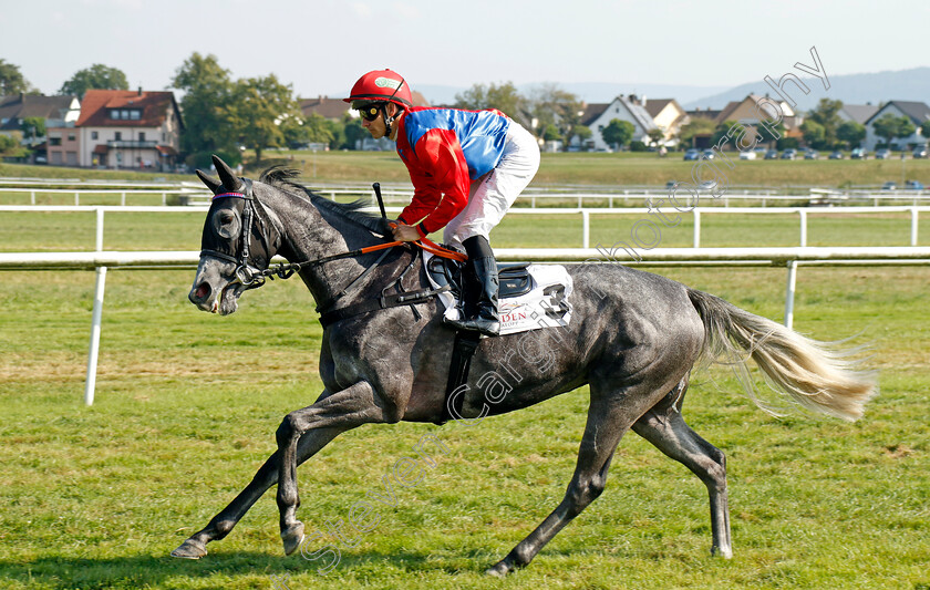 North-Reliance-0001 
 NORTH RELIANCE (Rene Piechulek)
Baden Baden 31 Aug 2024 - Pic Steven Cargill / Racingfotos.com