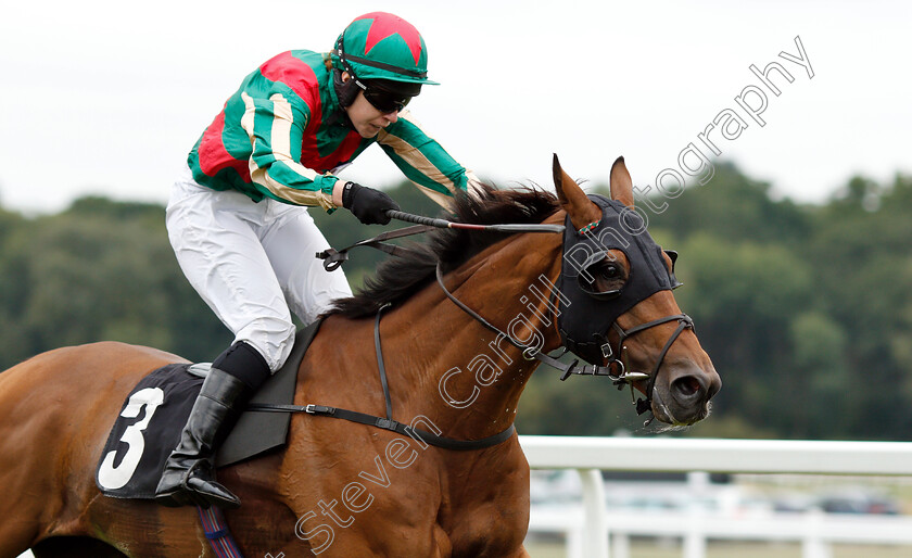 Dell -Arca-0004 
 DELL' ARCA (Siobhan Doolan) wins The Sportsguide Handicap
Newbury 18 Aug 2018 - Pic Steven Cargill / Racingfotos.com