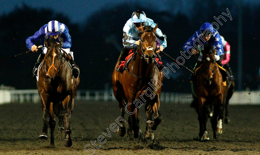 James-Street-0001 
 JAMES STREET (centre, Jason Watson) beats MOLAAHETH (left) in The 32Red Casino British Stallion Studs EBF Novice Stakes Div1
Kempton 5 Dec 2018 - Pic Steven Cargill / Racingfotos.com