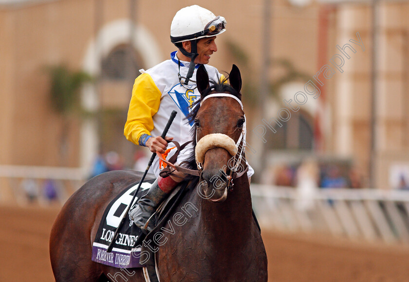 Forever-Unbridled-0006 
 FOREVER UNBRIDLED (John Velazquez) after The Breeders' Cup Distaff, Del Mar USA 3 Nov 2017 - Pic Steven Cargill / Racingfotos.com