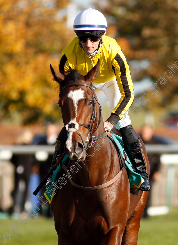 Pretty-Pollyanna-0001 
 PRETTY POLLYANNA (Daniel Tudhope)
Newmarket 12 Oct 2018 - Pic Steven Cargill / Racingfotos.com