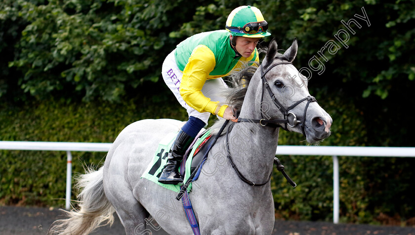 Phoenix-Moon-0001 
 PHOENIX MOON (Ray Dawson)
Kempton 16 Jul 2024 - Pic Steven Cargill / Racingfotos.com