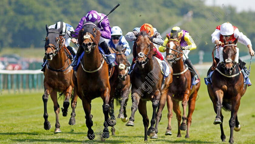 Raatea-0004 
 RAATEA (left, James Doyle) beats EMPEROR SPIRIT (centre) and NOMADIC EMPIRE (right) in The Sky Bet Reverence Handicap
Haydock 10 Jun 2023 - Pic Steven Cargill / Racingfotos.com