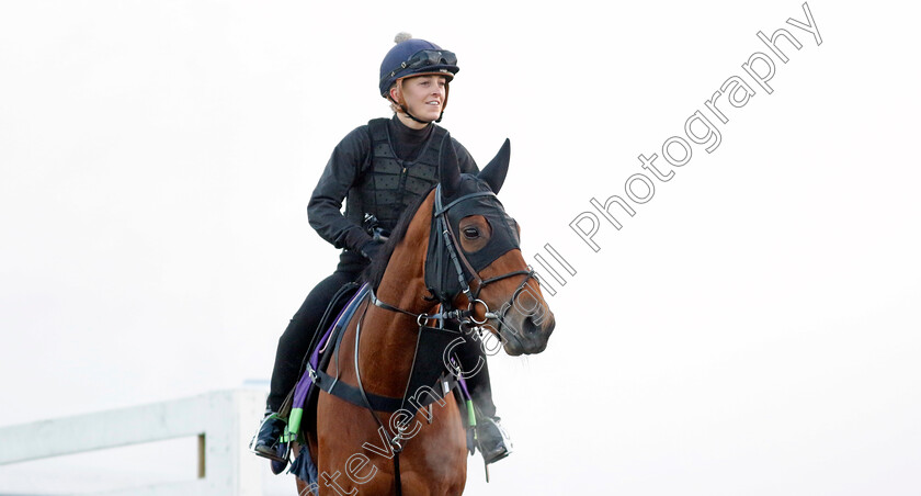 Dreamloper-0003 
 DREAMLOPER training for the Breeders' Cup Mile
Keeneland USA 3 Nov 2022 - Pic Steven Cargill / Racingfotos.com