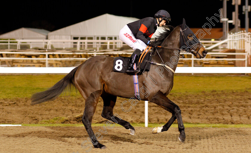 London-0001 
 LONDON (Josephine Gordon) Chelmsford 7 Dec 2017 - Pic Steven Cargill / Racingfotos.com