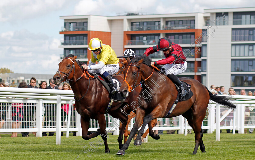 Rogue-0002 
 ROGUE (right, Tom Marquand) beats RED ROMAN (left) in The Dubai Duty Free Nursery Newbury 22 Sep 2017 - Pic Steven Cargill / Racingfotos.com