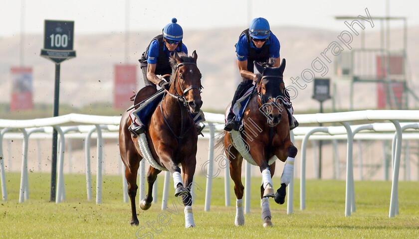 Zakouski-&-Barney-Roy-0001 
 ZAKOUSKI (left) and BARNEY ROY (right) exercising in preparation for Friday's Bahrain International Trophy
Sakhir Racecourse, Bahrain 16 Nov 2021 - Pic Steven Cargill / Racingfotos.com