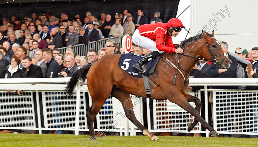 Ice-Age-0003 
 ICE AGE (Charlie Bishop) wins The Irish Stallion Farms EBF Bold Lad Sprint Handicap Curragh 10 Sep 2017 - Pic Steven Cargill / Racingfotos.com