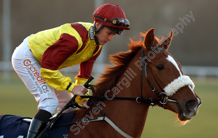 Laulloir-0002 
 LAULLOIR (Shane Gray)
Wolverhampton 26 Feb 2019 - Pic Steven Cargill / Racingfotos.com