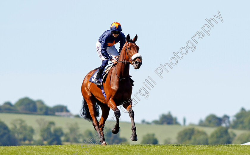 Follow-That-Star-0001 
 FOLLOW THAT STAR (David Probert)
Chepstow 27 May 2022 - Pic Steven Cargill / Racingfotos.com