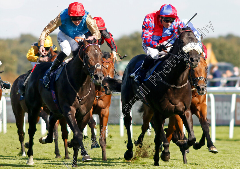 Aesterius-0004 
 AESTERIUS (left, James Doyle) beats BIG MOJO (right) in The Carlsberg Danish Pilsner Flying Childers Stakes
Doncaster 13 Sep 2024 - Pic Steven Cargill / Racingfotos.com