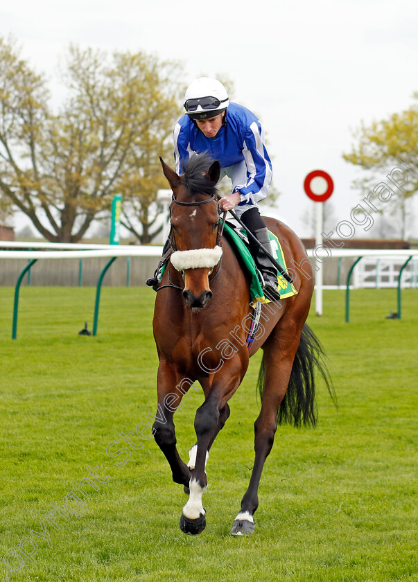 Hi-Royal-0001 
 HI ROYAL (Ryan Moore)
Newmarket 18 Apr 2023 - Pic Steven Cargill / Racingfotos.com