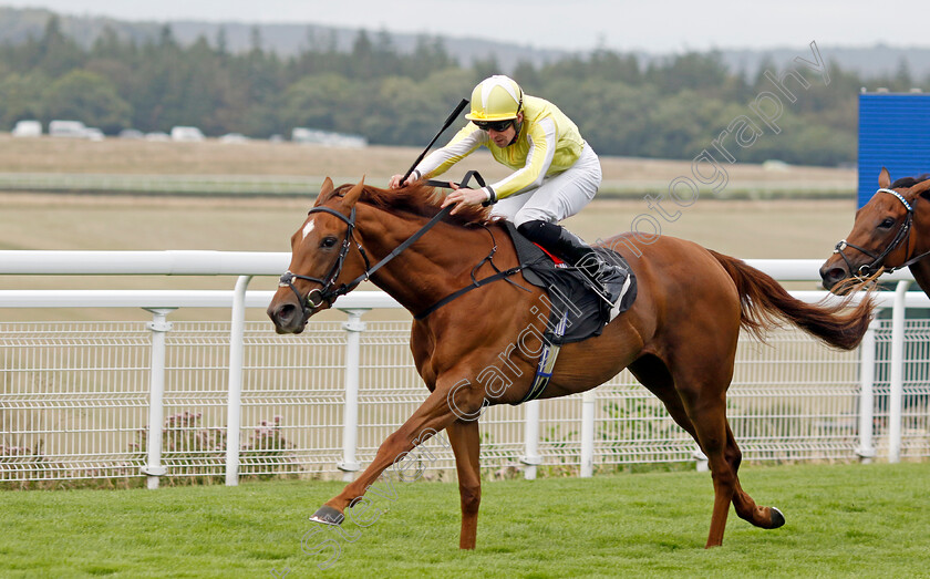 Choisya-0004 
 CHOISYA (Jack Mitchell) wins The Coral Fillies Handicap
Goodwood 1 Aug 2023 - Pic Steven Cargill / Racingfotos.com