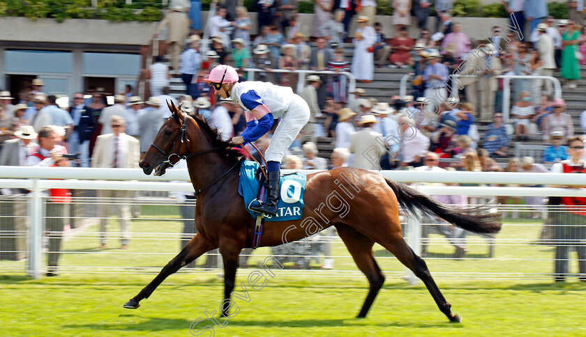 Stop-The-Cavalry-0001 
 STOP THE CAVALRY (Hector Crouch)
Goodwood 31 Jul 2024 - Pic Steven Cargill / Racingfotos.com