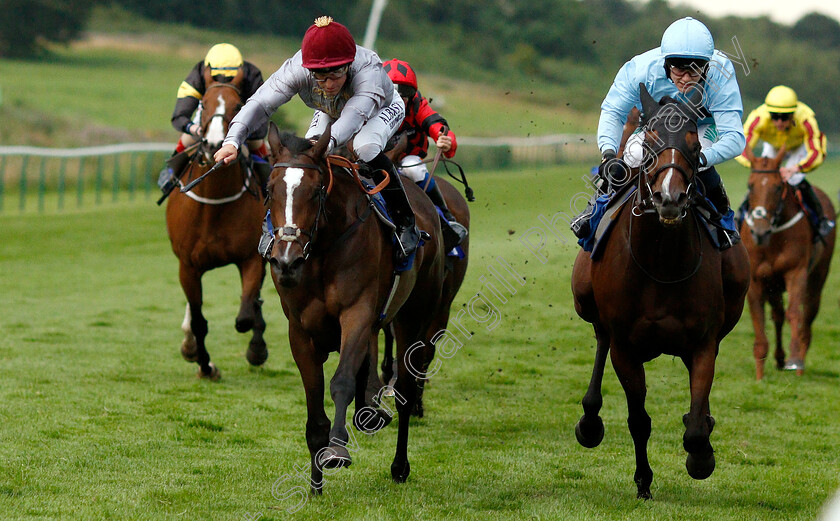 Al-Messila-0004 
 AL MESSILA (left, Pat Dobbs) beats POLYPHONY (right) in The Mansionbet Fillies Handicap
Nottingham 16 Jul 2019 - Pic Steven Cargill / Racingfotos.com