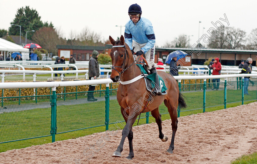 Felony-0001 
 FELONY (Nico de Boinville)
Warwick 12 Dec 2019 - Pic Steven Cargill / Racingfotos.com