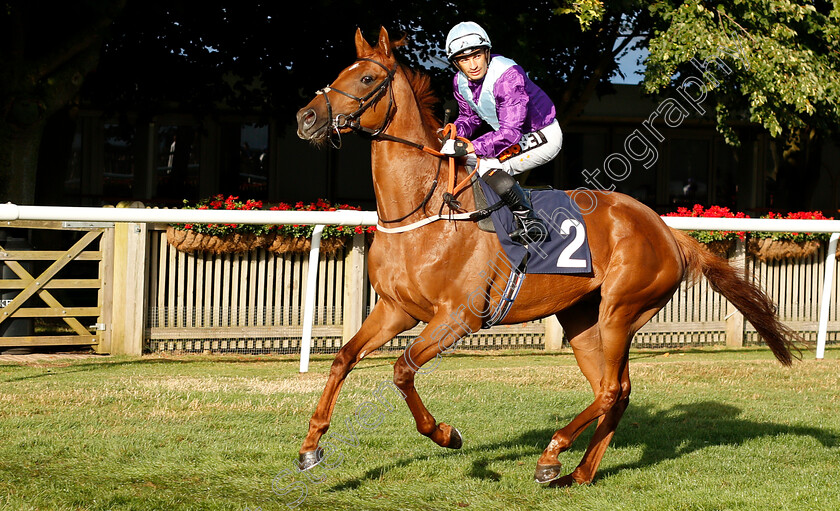 Arabian-King-0001 
 ARABIAN KING (Silvestre De Sousa)
Newmarket 10 Aug 2018 - Pic Steven Cargill / Racingfotos.com