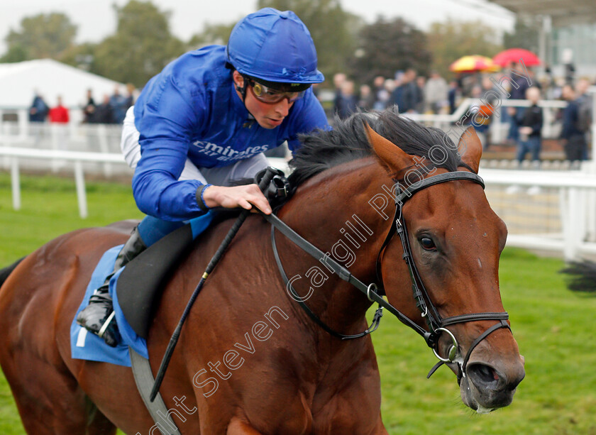 Parlando-0003 
 PARLANDO (William Buick) wins The British EBF Novice Stakes Div2
Leicester 12 Oct 2021 - Pic Steven Cargill / Racingfotos.com