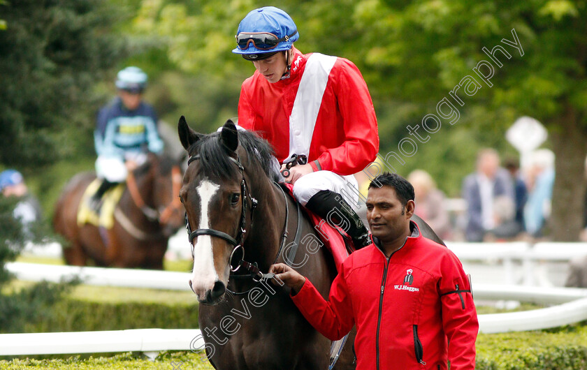 Destination-0002 
 DESTINATION (James Doyle)
Kempton 5 Jun 2019 - Pic Steven Cargill / Racingfotos.com