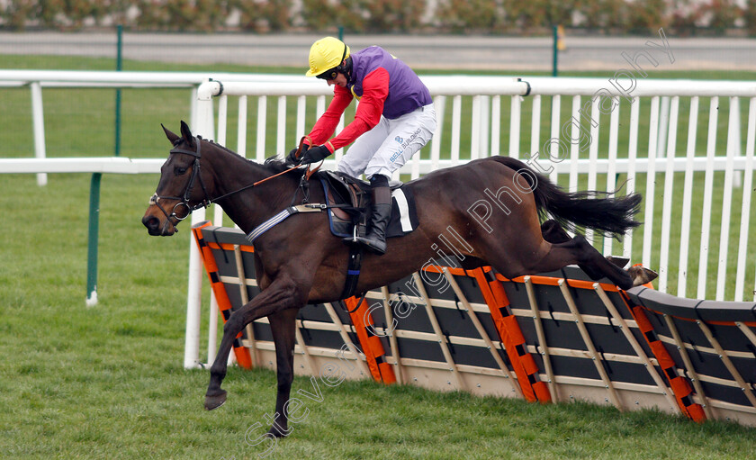 Dashel-Drasher-0003 
 DASHEL DRASHER (Matt Griffiths) wins The Be Wiser Insurance Novices Hurdle
Newbury 22 Mar 2019 - Pic Steven Cargill / Racingfotos.com