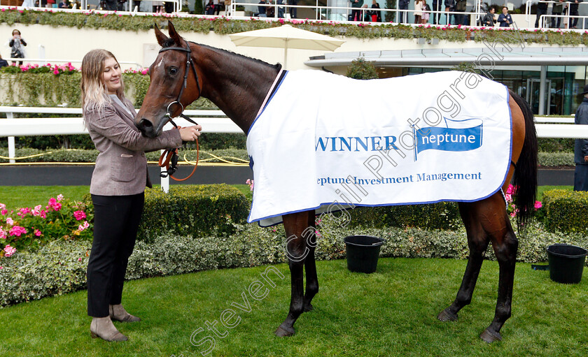 Di-Fede-0011 
 DI FEDE after The Neptune Investment Management British EBF October Stakes
Ascot 6 Oct 2018 - Pic Steven Cargill / Racingfotos.com