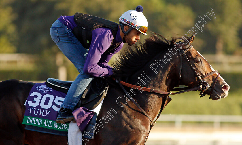 Bricks-And-Mortar-0003 
 BRICKS AND MORTAR training for the Breeders' Cup Turf
Santa Anita USA 30 Oct 2019 - Pic Steven Cargill / Racingfotos.com