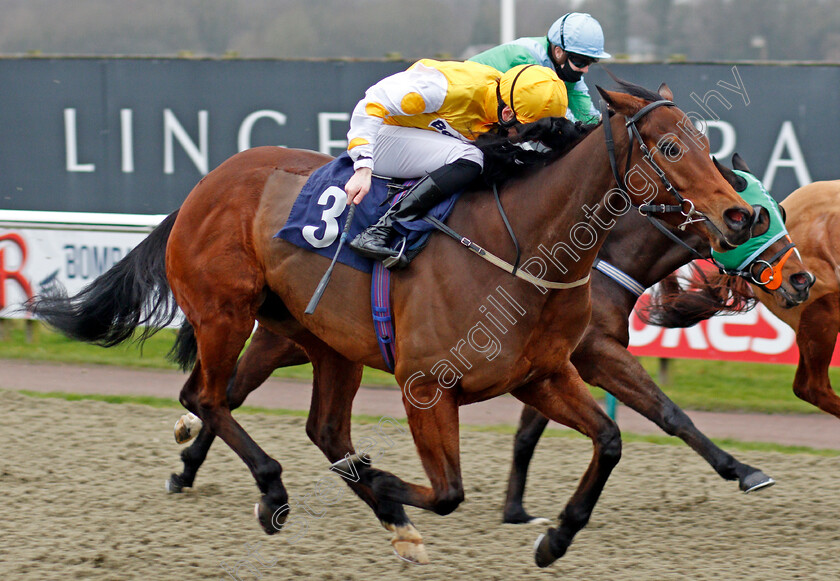 Invincible-Larne-0001 
 INVINCIBLE LARNE (Callum Shepherd) wins The Read Katie Walsh On Betway Insider Handicap
Lingfield 27 Jan 2021 - Pic Steven Cargill / Racingfotos.com