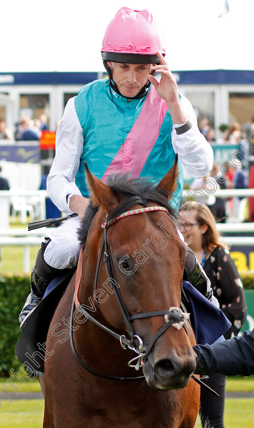 Equilateral-0007 
 EQUILATERAL (Ryan Moore) after The DC Training And Development Services Scarbrough Stakes
Doncaster 11 Sep 2019 - Pic Steven Cargill / Racingfotos.com