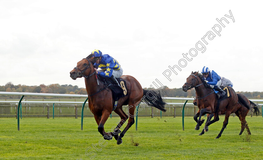 Treble-Tee-0003 
 TREBLE TEE (James Doyle) wins The Aston Martin Novice Stakes
Newmarket 23 Oct 2024 - Pic Steven Cargill / Racingfotos.com