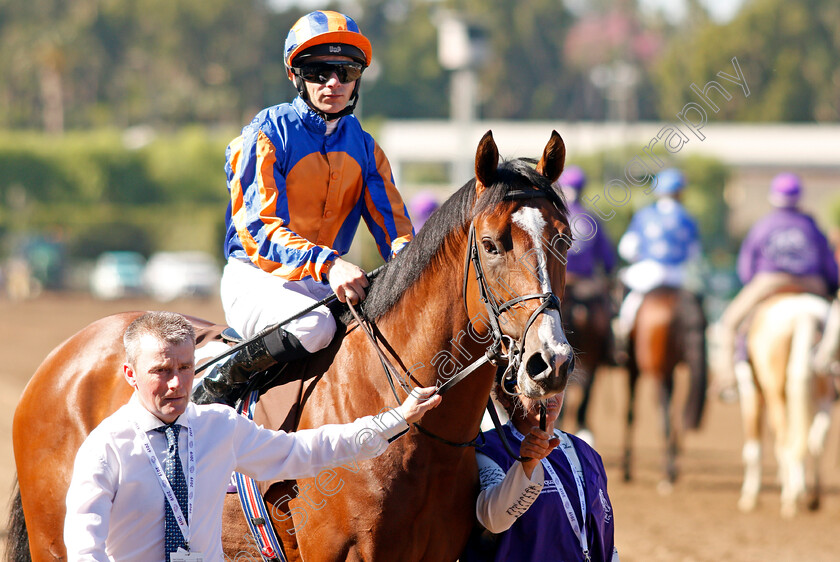 Fort-Myers-0001 
 FORT MYERS (Wayne Lordan)
Santa Anita 1 Nov 2019 - Pic Steven Cargill / Racingfotos.com