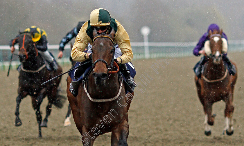 Restless-Endeavour-0004 
 RESTLESS ENDEAVOUR (Jack Mitchell) wins The Betway Handicap
Lingfield 26 Mar 2021 - Pic Steven Cargill / Racingfotos.com