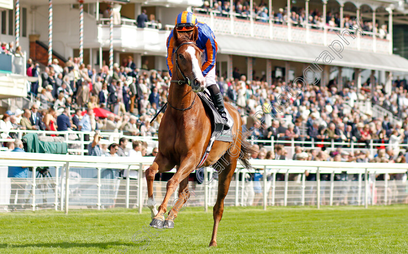 Love-0003 
 LOVE (Ryan Moore)
York 18 Aug 2021 - Pic Steven Cargill / Racingfotos.com