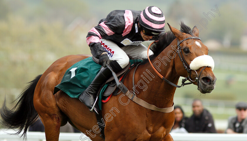 Kupatana-0008 
 KUPATANA (Harry Cobden) wins The EBF Thoroughbred Breeders Association Mares Novices Handicap Chase Series Final
Cheltenham 18 Apr 2019 - Pic Steven Cargill / Racingfotos.com