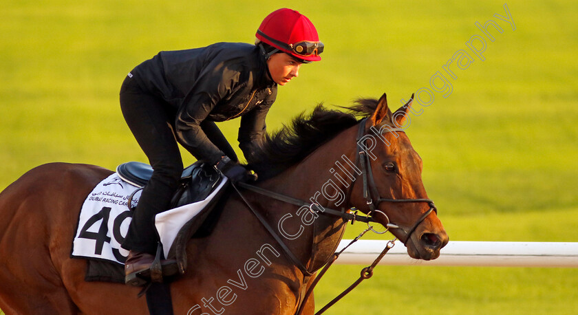 Emaraaty-Ana-0004 
 EMARAATY ANA training at the Dubai Racing Carnival
Meydan 1 Mar 2024 - Pic Steven Cargill / Racingfotos.com