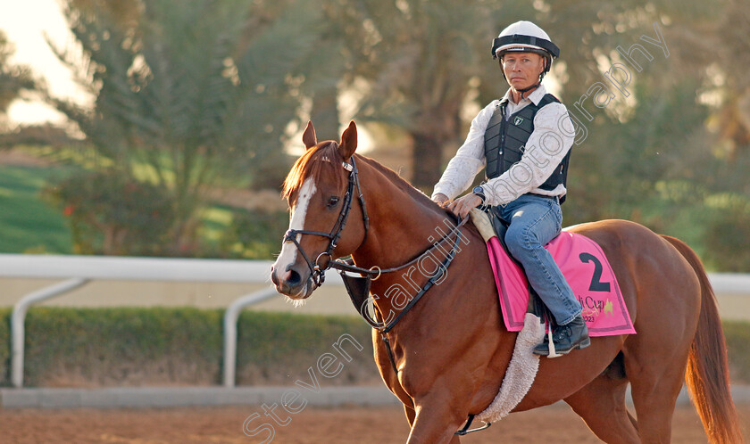 Elite-Power-0002 
 ELITE POWER training for The Riyadh Dirt Sprint
King Abdulaziz Racecourse, Kingdom Of Saudi Arabia, 23 Feb 2023 - Pic Steven Cargill / Racingfotos.com