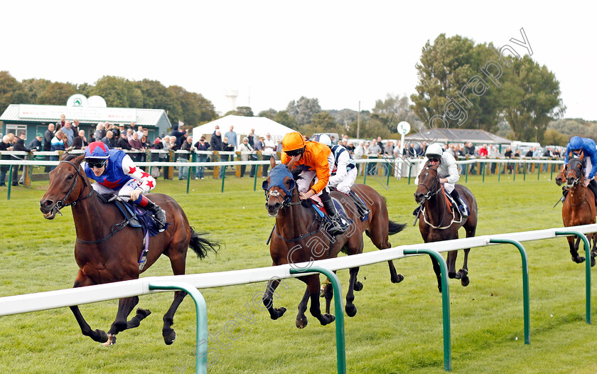 Great-Hall-0001 
 GREAT HALL (Fran Berry) beats ZENON (centre) in The Get On With Dan Hague Handicap Yarmouth 21 Sep 2017 - Pic Steven Cargill / Racingfotos.com