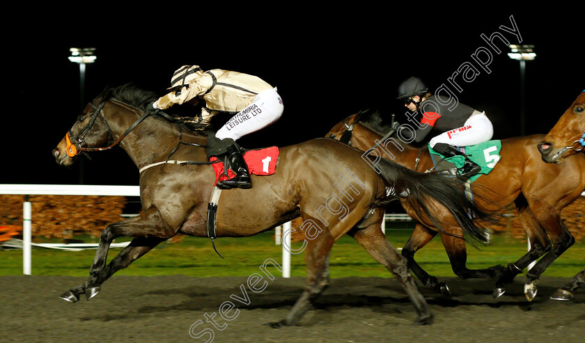 Doc-Sportello-0004 
 DOC SPORTELLO (Robert Winston) wins The 32Red.com Handicap
Kempton 16 Jan 2019 - Pic Steven Cargill / Racingfotos.com